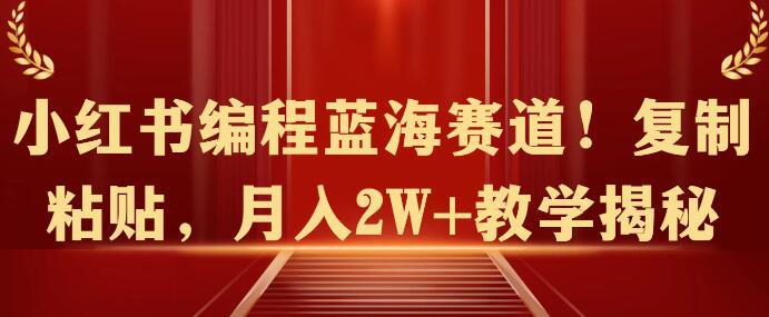 小红书编程蓝海赛道揭秘：轻松复制粘贴，月入2W+教学全攻略！-阿志说钱