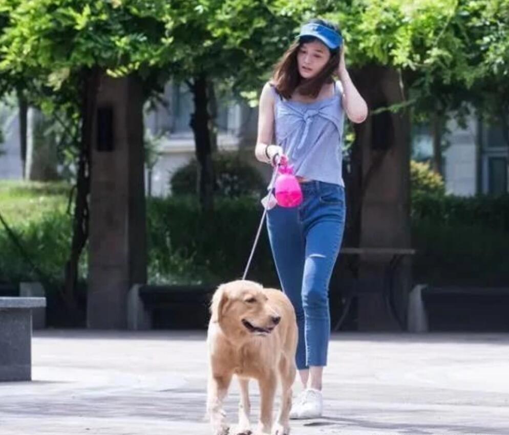 图片[1]-这个冷门小生意，一年轻松赚40万，很多人还不知道，正好闷声发财-阿志说钱