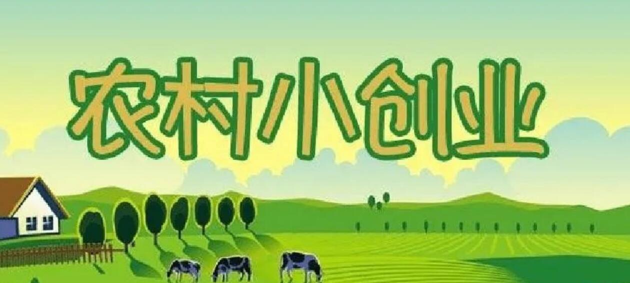 图片[1]-农村冷门暴利生意：投资不到1万，一年稳稳赚几十万！-阿志说钱