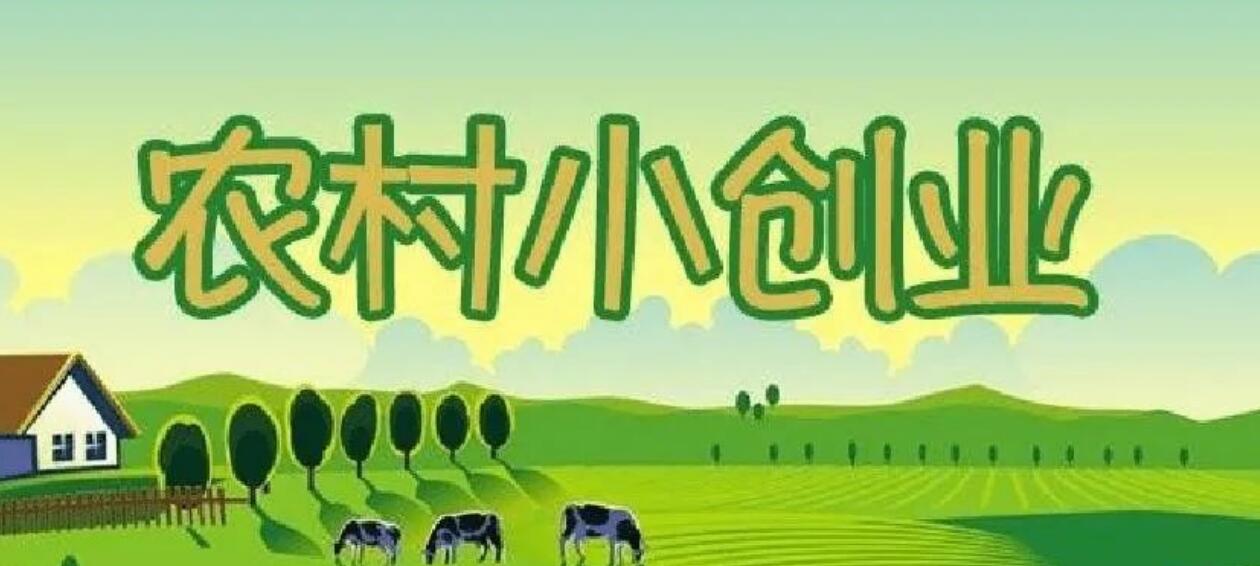 农村冷门暴利生意：投资不到1万，一年稳稳赚几十万！-阿志说钱