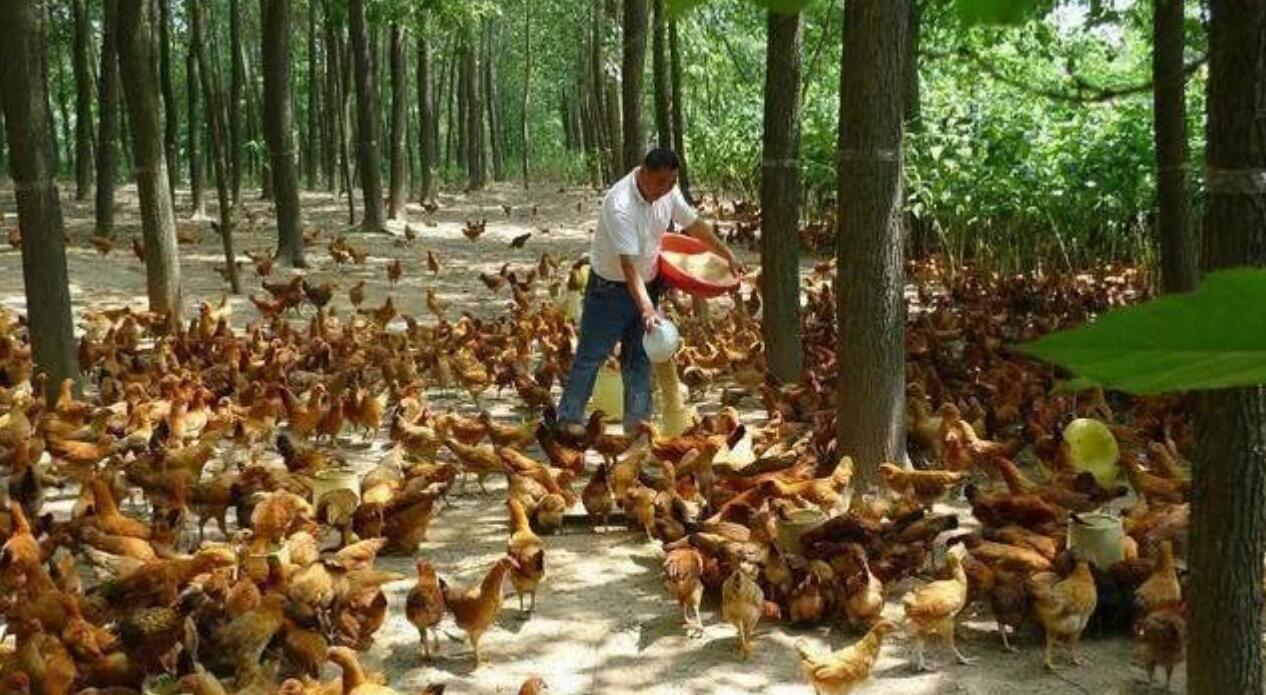 图片[1]-农村暴利项目：十大暴利行业-阿志说钱