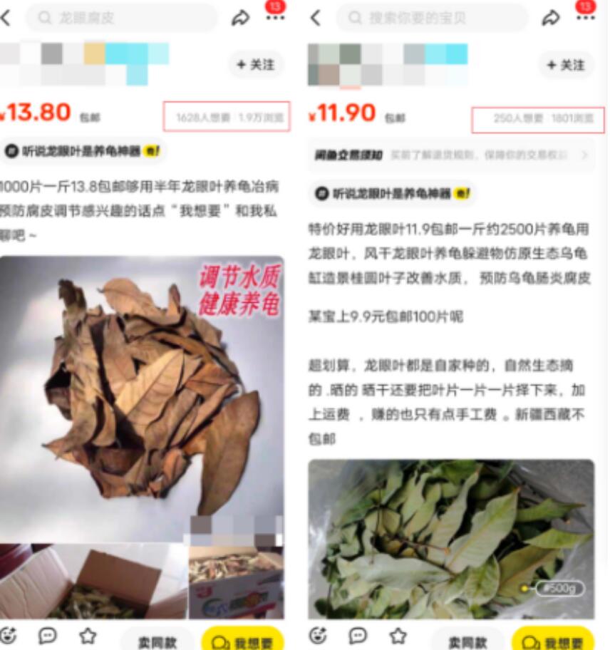 图片[1]-不想上班做这个副业，无本万利的冷门暴利项目，卖树叶日入300+-阿志说钱