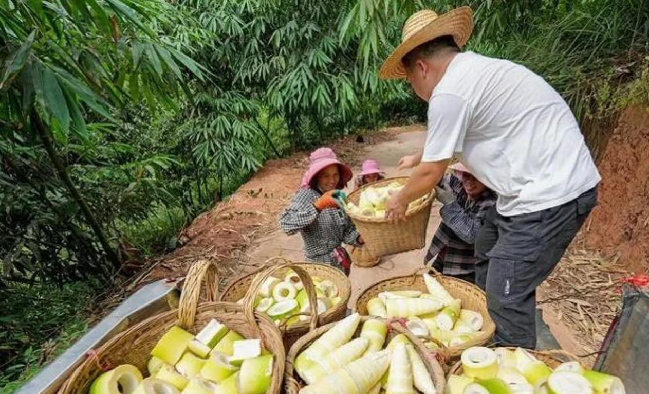 图片[1]-农村暴利冷门种植项目秘密大揭露！成本不到600元，一年稳赚30万！-阿志说钱