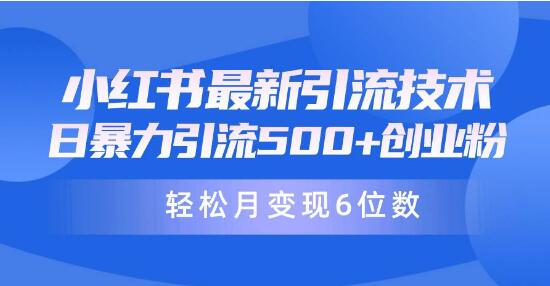 小红书引流新策略：日暴引流500+创业粉丝，轻松实现月变现6位数-阿志说钱