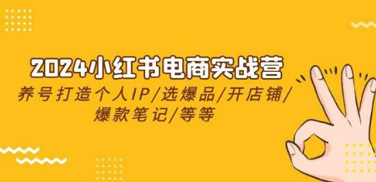 2024小红书电商实战营：养号秘籍、IPI提升、爆品选择、店铺开设、爆款笔记打造-阿志说钱