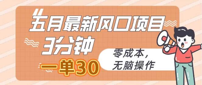 【2023五月爆款】零成本风口项目，3分钟一单赚30，无脑轻松操作！-阿志说钱