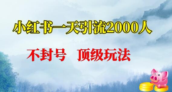 图片[1]-小红书日加2000人秘诀！不封号顶级玩法，轻松拓展人脉-阿志说钱