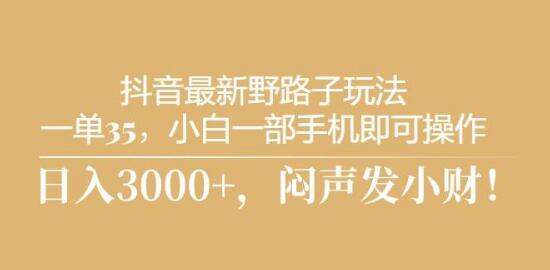 图片[1]-抖音野路子玩法揭秘，每单35+，小白手机轻松操作，快速上手！-阿志说钱