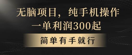 图片[1]-揭秘轻松月入5w+的副业项目，一单几百块，快速上手！-阿志说钱