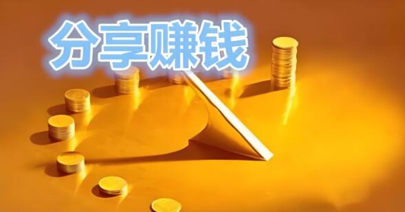 图片[1]-网络赚钱实战教学：精选网赚项目与兼职机会，全面解锁你的网络财富增长之路-阿志说钱