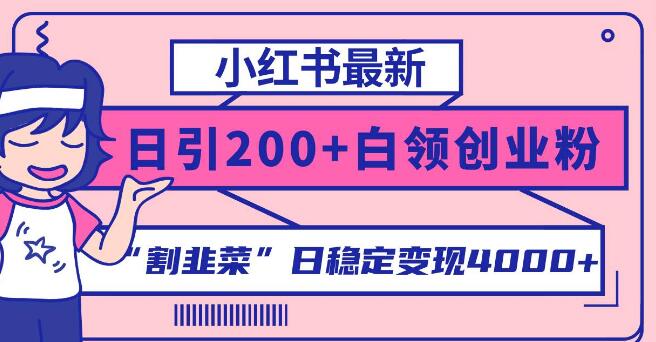 图片[1]-小红书日引200+创业粉实操秘诀：稳定变现4000+的创业’韭菜’收割指南-阿志说钱