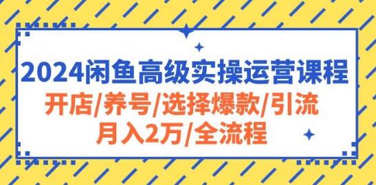 图片[1]-闲鱼高级运营实战课，开店养号+爆款选择+高效引流，全流程解析，月入2万+-阿志说钱