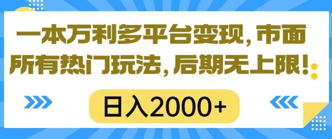 全新多平台变现秘籍，一本万利，掌握市面热门玩法，日入2000+-阿志说钱