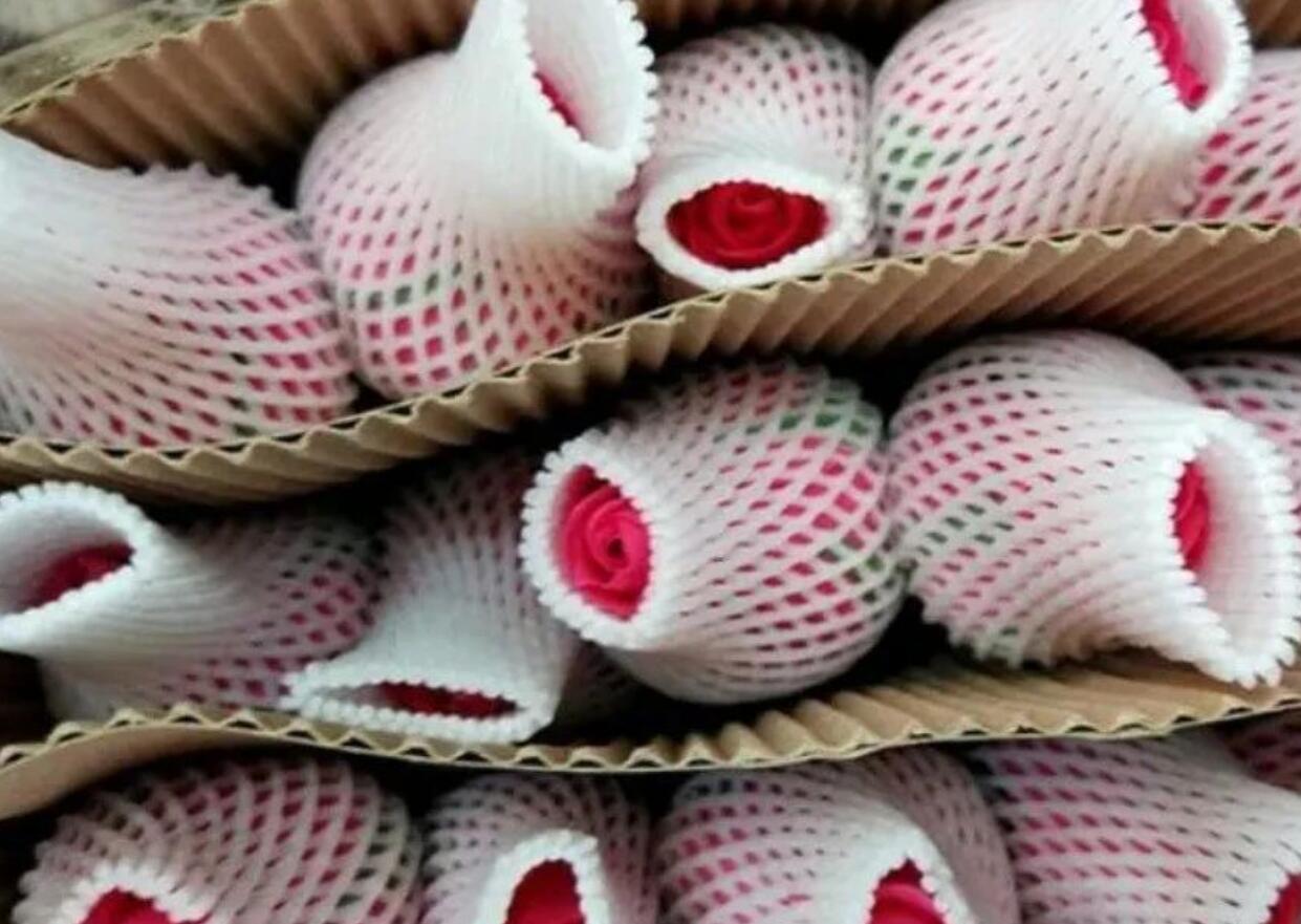 图片[1]-返乡创业：年赚50万的农村加工，2万就能干，小众冷门项目，普通人都能干-阿志说钱