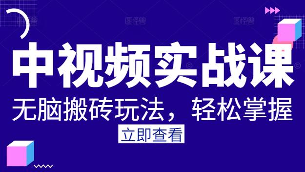 图片[1]-中视频创作秘籍：揭秘无脑搬砖实战课，轻松掌握视频制作与流量密码-阿志说钱