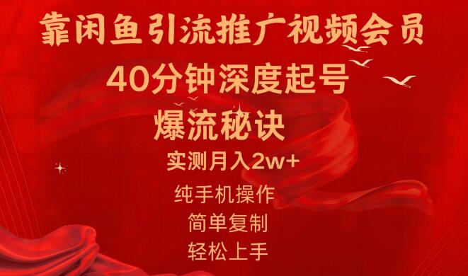 图片[1]-闲鱼引流技巧，暴力推广视频会员，日收益突破2W+，操作轻松上手！-阿志说钱