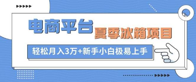 图片[1]-夏季热销冰箱项目，月入3万+，新手小白轻松入门-阿志说钱