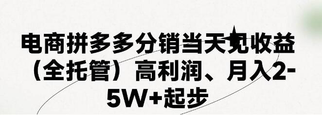 图片[1]-拼多多新模式，日入4K+，两日破百单，零学费，老手代运营，新手也能轻松上手！-阿志说钱