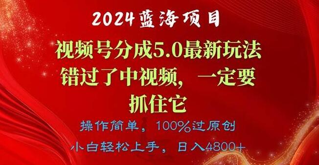 图片[1]-2024年必抓蓝海项目，视频号分成计划5.0全新玩法，错过中视频，此次不容有失-阿志说钱