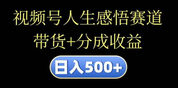 图片[1]-视频号人生感悟赛道，带货分成双收益，日入500+，10分钟高效视频创作法！-阿志说钱