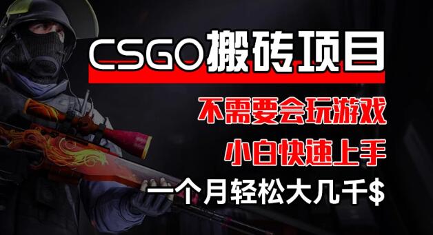 图片[1]-CSGO装备搬砖项目，零基础小白快速上手，月入大几千-阿志说钱