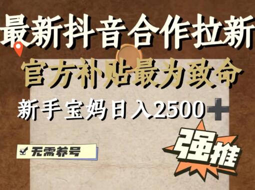 图片[1]-最新抖音合作拉新，新手宝妈日入2500+，无需养号，十分钟即可上手操作-阿志说钱