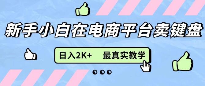 图片[1]-0成本无货源电商模式，新手友好，后端全力扶持，日入2K+详细教学，轻松上手-阿志说钱