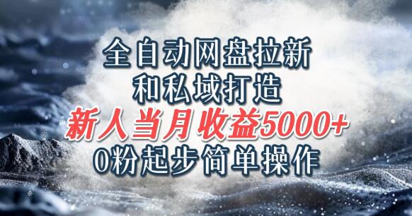 图片[1]-全自动网盘拉新+私域构建秘籍，0粉基础轻松上手，新人首月稳入5000+-阿志说钱