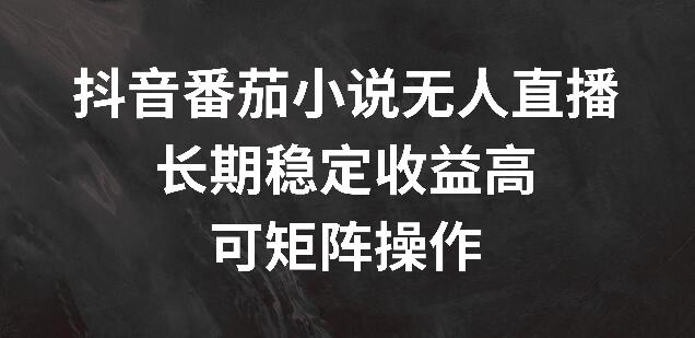 图片[1]-抖音无人直播番茄小说，长期稳定高收益，支持矩阵操作！-阿志说钱