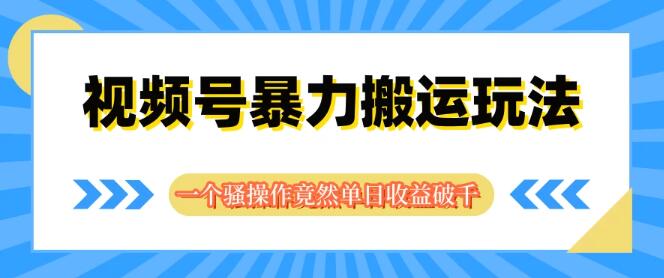图片[1]-揭秘视频号高效搬运策略，独创技巧助力单日收益破千，轻松上手！-阿志说钱