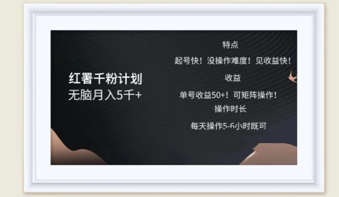图片[1]-红薯千粉计划实战分享，轻松实现月入五千，即做即赚的高效赚钱策略！-阿志说钱