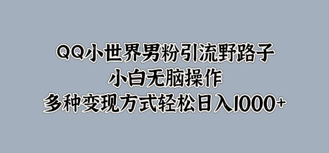 图片[1]-2024年QQ小世界男粉引流秘籍，小白友好型野路子，多样化变现策略助力日入1000+-阿志说钱