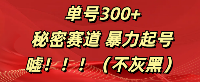 图片[1]-正规赛道快速起号策略，单号日入300+，揭秘高效增长方法！-阿志说钱