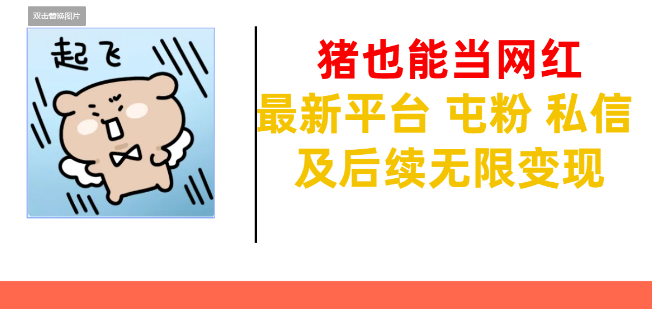 图片[1]-“猪”也能成网红，最新社交平台助力，快速屯粉、高效交流，开启私信互动，解锁无限变现可能！-阿志说钱