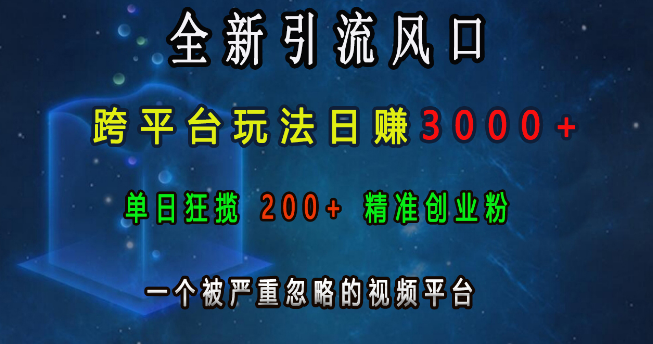 图片[1]-新引流趋势揭秘，跨平台营销玩法，日收益潜力超3000+，精准捕获200+创业粉丝，揭秘被低估的视频平台！-阿志说钱