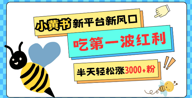 图片[1]-网易版小红书震撼上线，新平台新机遇，宽松管理助力，半天狂揽3000粉，首波红利期等你把握！-阿志说钱