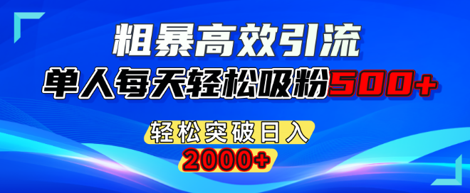 图片[1]-高效引流新策略，单人日吸粉500+，轻松实现日入2000+！-阿志说钱