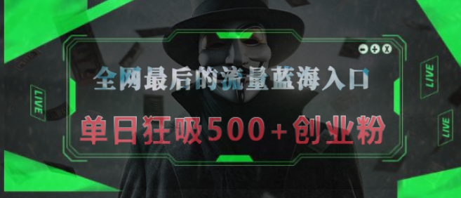 图片[1]-揭秘全网最后的流量蓝海，半小时速引50+创业粉丝，单日引爆500+精准创业粉！-阿志说钱