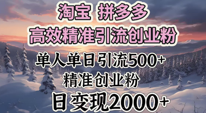 图片[1]-淘宝拼多多高效引流策略，精准捕获创业粉丝，单人单日引流500+，日变现超2000+-阿志说钱