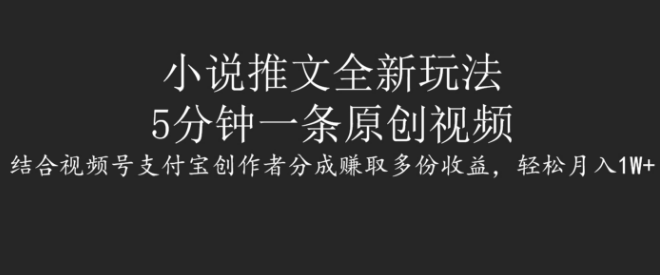 图片[1]-小说推文全新玩法揭秘，5分钟打造原创视频，结合视频号与支付宝创作者分成，实现多重收益-阿志说钱