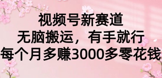 图片[1]-视频号新机遇，轻松搬运策略，人人可操作，月增3000+零花钱秘籍-阿志说钱