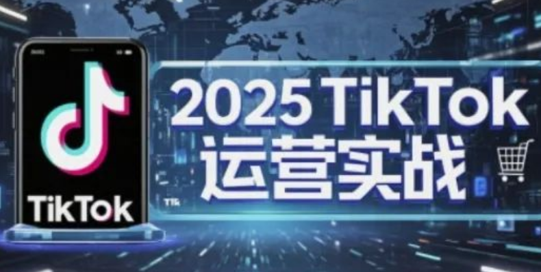 图片[1]-2025 TikTok电商运营全攻略，掌握店铺核心技巧，低成本实现高转化实战指南-阿志说钱
