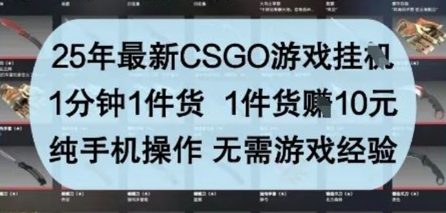 图片[1]-CSGO游戏代练/技巧教学，手机轻松操作，1天赚100+（零经验可学）-阿志说钱