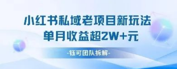 图片[1]-小红书私域引流新打法，0成本起号合规变现技巧，单月变现破万实操攻略-阿志说钱