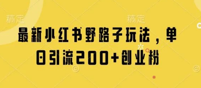 图片[1]-最新小红书野路子引流黑科技，单日200+创业粉精准导入，新手也能玩转-阿志说钱