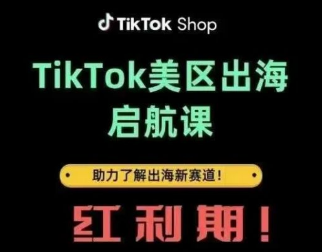 图片[1]-TikTok美区出海全攻略，掘金红利赛道实战运营课，0基础入局指南-阿志说钱