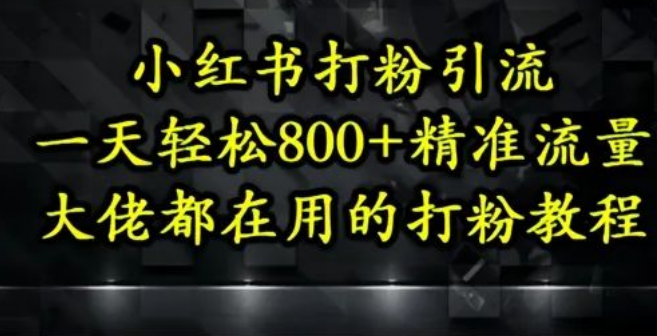 图片[1]-小红书打粉引流攻略，一天狂揽500+精准流量，大佬们都在偷偷用的方法！-阿志说钱