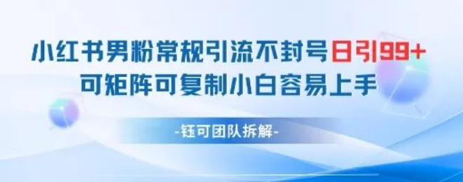 图片[1]-小红书男粉常规引流攻略，安全不封号，日引 99+精准粉丝，变现轻松，矩阵化与可复制模式助力小白快速上手！-阿志说钱