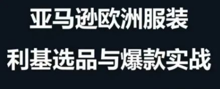 图片[1]-跨境电商选品实战案例，策略+运营全解析，精准挖掘蓝海市场助卖家爆单！-阿志说钱