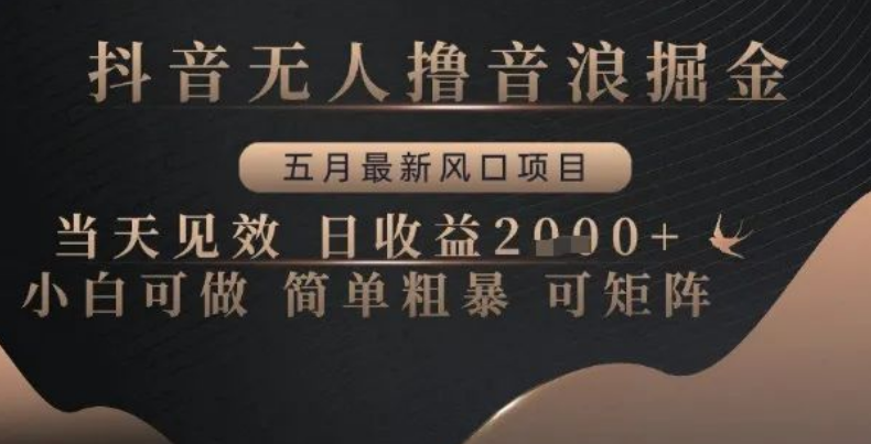 图片[1]-抖音音浪变现全攻略，新风口0基础日赚300+实操，矩阵化运营教程-阿志说钱